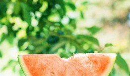 网红正能量吃瓜图片,传递美好与温馨