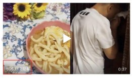 林州手擀面爆料案件最新,揭开食品安全背后的真相